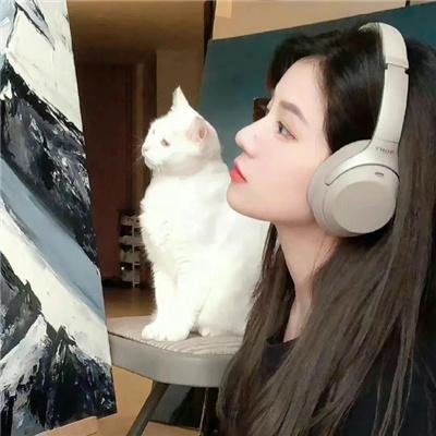 姐妹老板